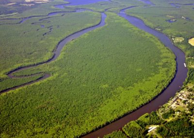 Aerial view of a winding river surrounded by dense green forest and a small town on the riverbank.