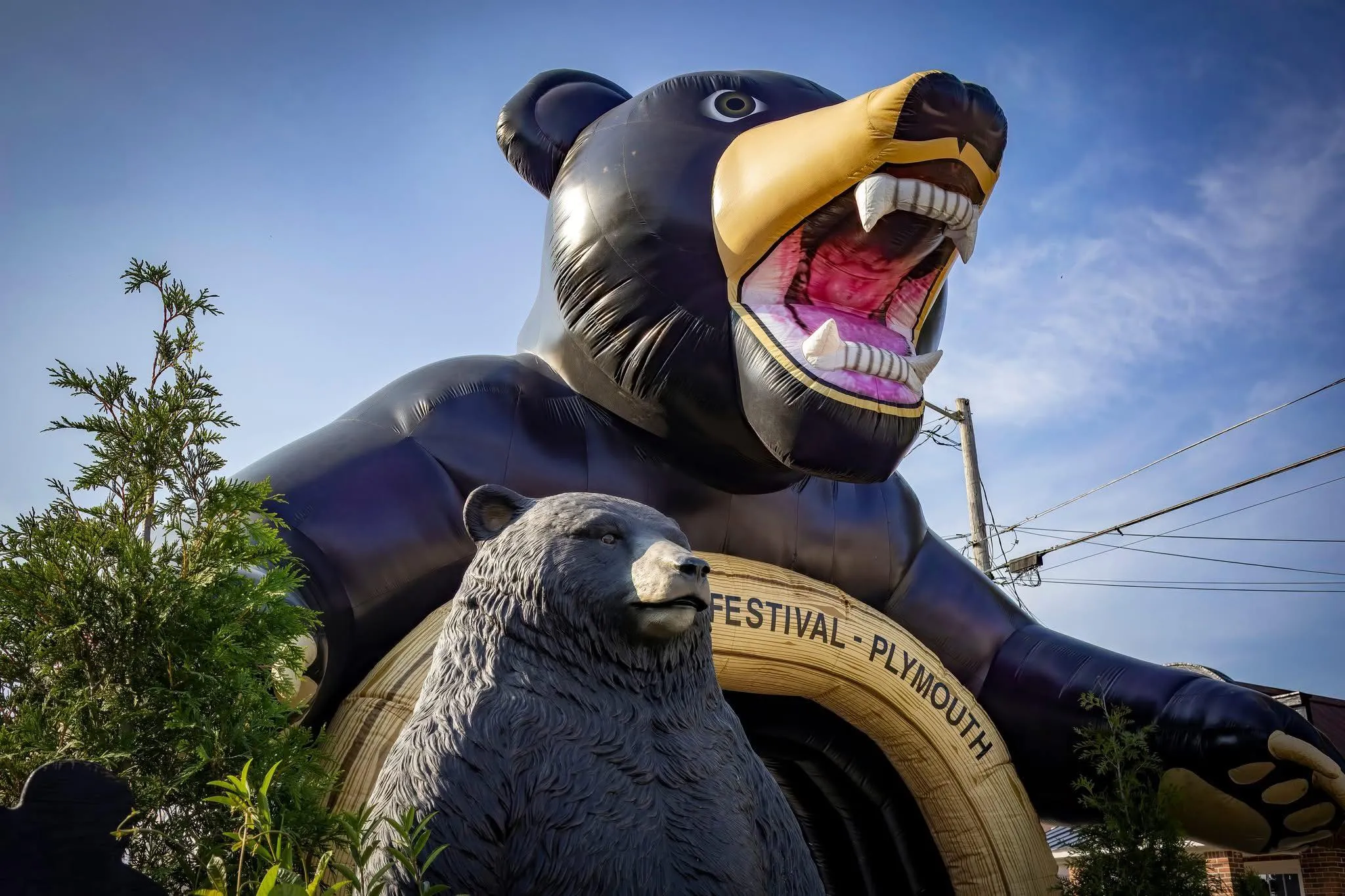 about-3 Inflatable bear entrance and bear statue at a festival under a blue sky, with trees and wires in the background.