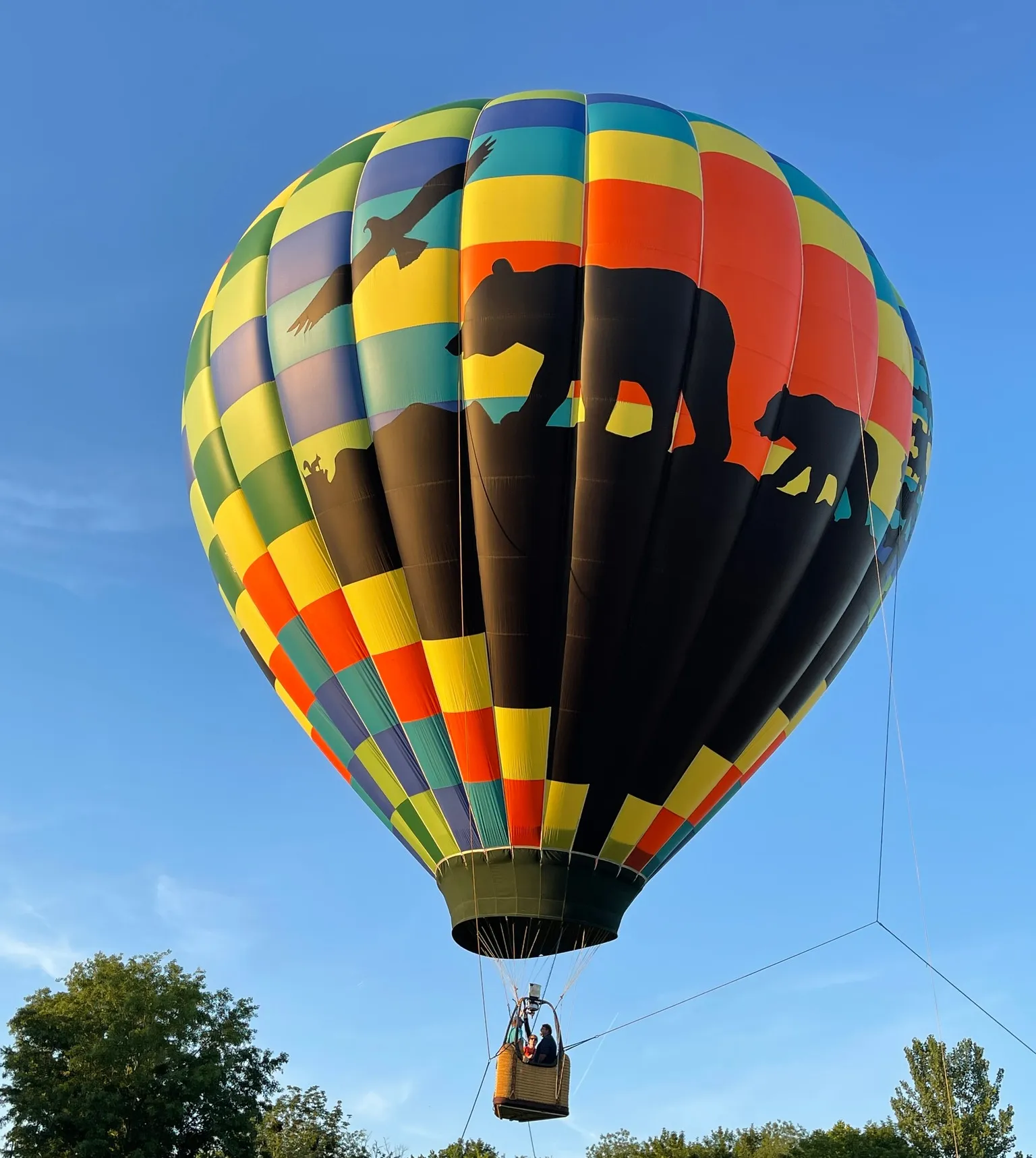 Colorful hot air balloon with bear and bird silhouettes, flying against a clear blue sky above trees.